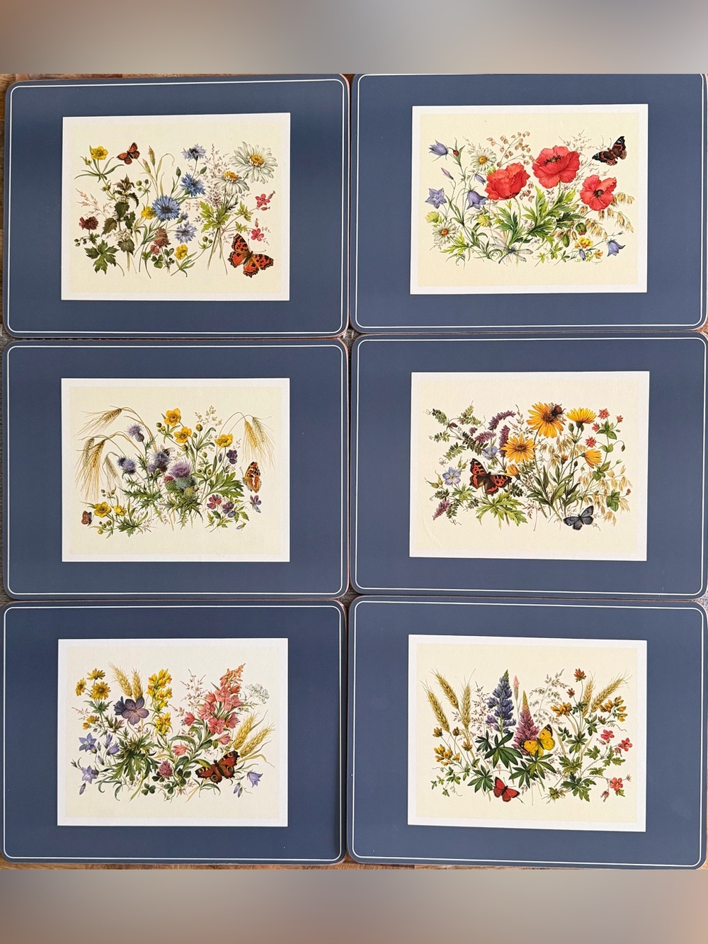 Set of Six Pimpernel English Butterfly Collection Cork-backed Placemats
